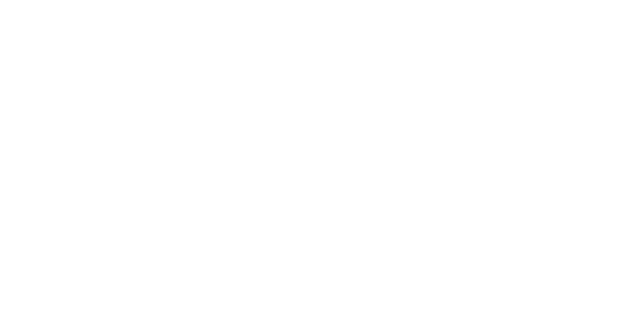 logicpath_logo new White